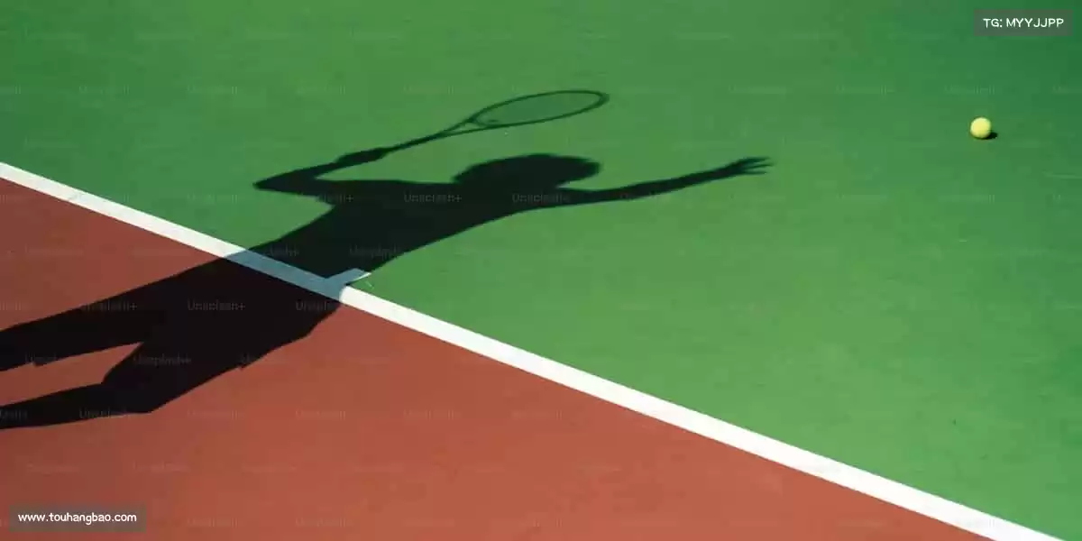 为什么选择我们